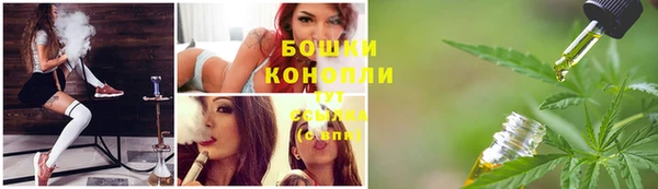 сатива Осташков