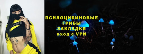 экстази Осинники