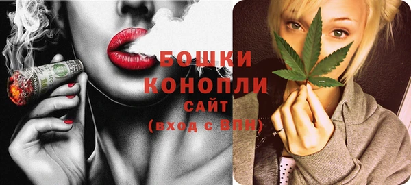 винт Пересвет