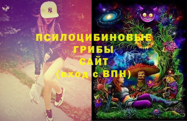 сатива Осташков