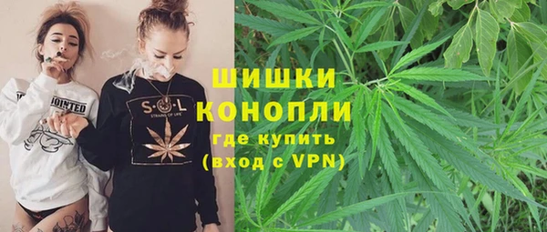 сатива Осташков