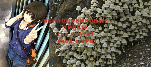 экстази Осинники