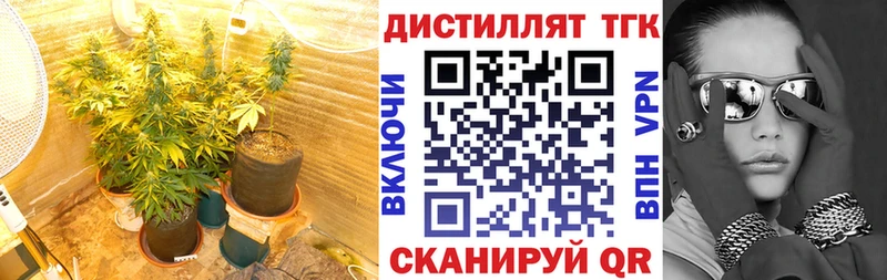где купить наркоту  Суоярви  ТГК THC oil 